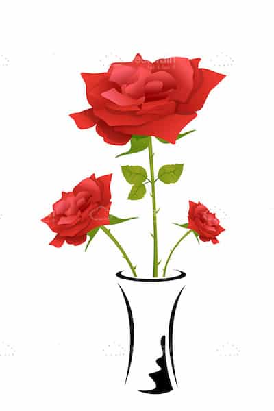 Red Roses in Flower Vase